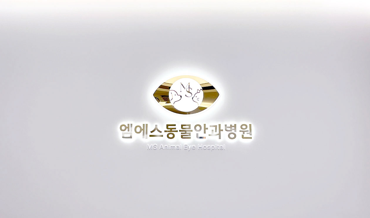 1_메인
